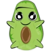 Aguacate Bebé 23