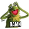 KERMIT la rana 30