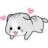 Котенок 23