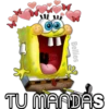 Bellies
TU MANDAS