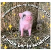 Buenos dias bb, no olvides hidratarte
y andar por la sombrita
