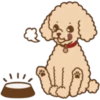 Poodle Doodle 5
