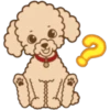 Poodle Doodle 6