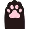 CATS 9
