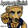 Mascotas Deportivas 7