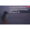 Frases Pingu 6