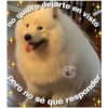o quiero dejarte en visto
pero no sé
raladepresion
qué responder