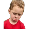 Gavin Expressions 5