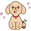 Poodle Doodle 8