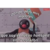 Frases Pingu 9