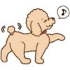 Poodle Doodle 9