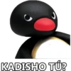 KADISHO TÚ?