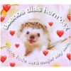 Buenos
dies hermost
shimo, todo será mejor!
Sanimalitosparaladepresion
hoy
קולותר