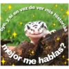 en vez de ver mis historias
mejor me hablas?
oye, y si en