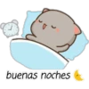 buenas noches