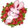 Rosy Bunny 7