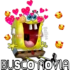 Bellies
BUSCO NOVIA
