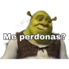 Shrek 11