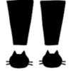 CATS 16