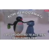 Frases Pingu 13