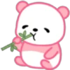 PINK PANDA 7
