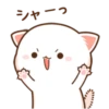 シャーつ