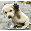 Buenos dias bb
no olvides desayunar