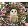 Buenas
noches corazón
en tus sueños voy
a estar