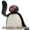 TALUEGO PISHURRA