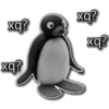 xq? xq? xq? xq?