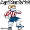 Mascotas Deportivas 21