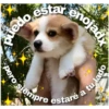 puedo estare
pero siempre estaré a tu lado
S
enojadx
V