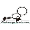 Chaturanga Dandasana