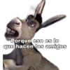 Shrek 16