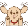 Poodle Doodle 11