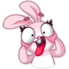 Rosy Bunny 16