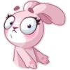 Rosy Bunny 18