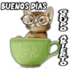 Admin de grupo 19