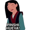PINSHI
HUEVA!