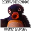 MESTA TOKANDOH 0 MUXO LA POLA