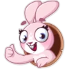 Rosy Bunny 21