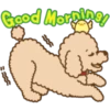 Poodle Doodle 13