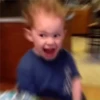 Gavin Expressions 12