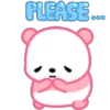 PINK PANDA 17