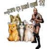 Admin de grupo 21