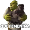 Shrek (parte 2) 21