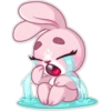 Rosy Bunny 23