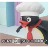 PERO K DISE COHONE?