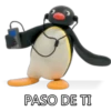 PASO DE TI