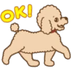 Poodle Doodle 14